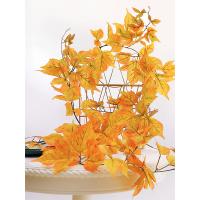 uploads/erp/collection/images/Home Garden/CongDing/XU0610841/img_b/XU0610841_img_b_2